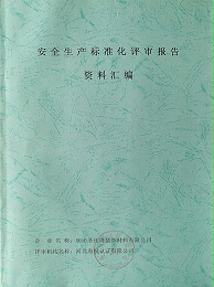安全生產標準化評審報告